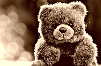 Teddy Bear, Glare, Miscellanea, Miscellaneous, Toy HD wallpaper