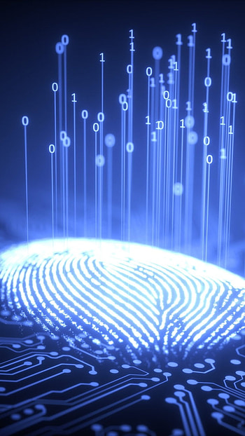 Fingerprint, Digital, Technology HD phone wallpaper