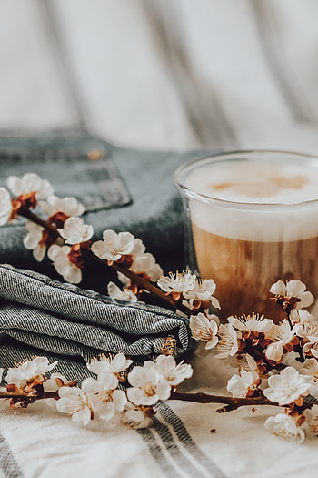 Flowers, Food, Still Life, Bloom, Flowering, Cappuccino HD phone wallpaper