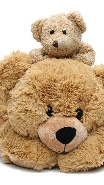 Teddy Bear Wale, Baby, Teddy Bear HD phone wallpaper