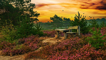Early Autumn in Northern Germany, sky, bench, landscape, trees, colors, clouds HD wallpaper