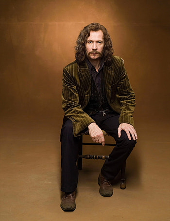 Sirius Black, Portrait of Sirius, Gary Oldman, Iconic movie character HD phone wallpaper