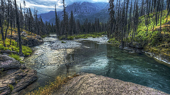 An overcast day near St. Mary Falls, Glacier National Park, rocks, stream, usa, trees, montana, mountains HD wallpaper