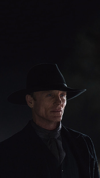 Westworld, MIB, Imgur, Album HD phone wallpaper