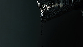 Alien: Romulus in, movie, Alien: Romulus HD wallpaper