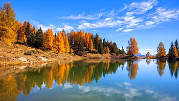 Autumn morning, Italy, Blue sky, Trees, Fall HD wallpaper