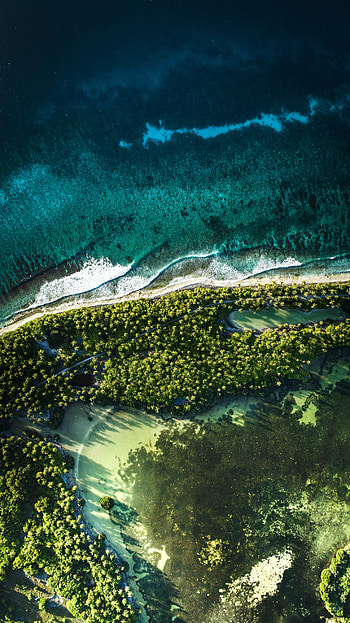 Aerial view, Maldives, nature, palm trees, coast HD phone wallpaper