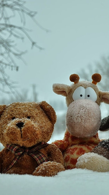 Teddy Bear Wale, Teddy, Toys, kids HD phone wallpaper