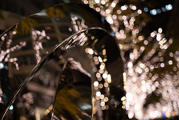 Lights, Macro, Glare, Circles, Blur, Smooth, Bokeh, Boquet HD wallpaper
