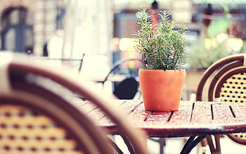 Best cafe Mac HD wallpaper