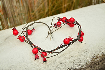 Snow, Love, Berries, Heart HD wallpaper