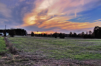 Tangerine Sky, orange clouds, blue sky, field, trees, grass HD wallpaper