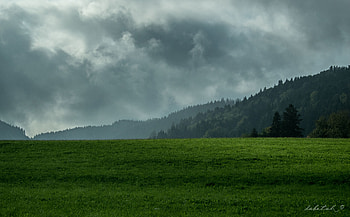 Nature, Mountains, Clouds, Forest, Fog, Lawn HD wallpaper