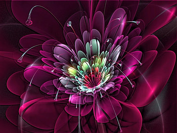 The beauty of a flower, colors, flowers, abstract, sparkle HD wallpaper