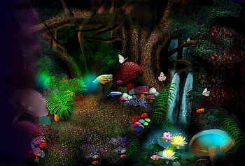 The Magic Circus, butterflies, trees, nature, flowers, mushrooms HD wallpaper