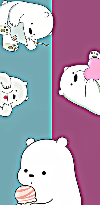 Polar, oso HD phone wallpaper
