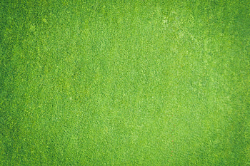 Texture, Textures, Surface, Rough HD wallpaper