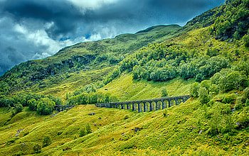 Nature, Trees, Grass, Railroad Bridge, Railway Bridge HD wallpaper