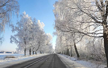 Winter Avenue, winter, road, hoarfrost, avenue, Latvia HD wallpaper
