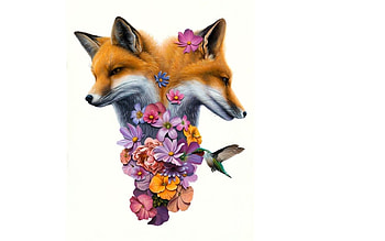 Beauties, white, bird, fantays, art, colibri, vulpe, pasare, fox, orange, jacub gagnon, summer, pink, flower, luminos HD wallpaper