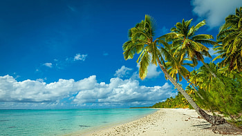Tropical Paradise, tropical, paradise, beautiful, beach, summer, turquoise sea, clouds, palm trees, Cook Islands, white sand HD wallpaper