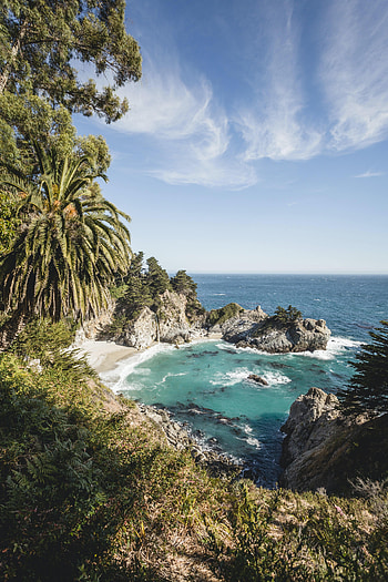 Nature, Trees, Sea, Rocks, Tropics, Island HD phone wallpaper