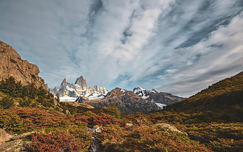 Landscape, Nature, Mountains, Bush, Rocks, Relief HD wallpaper