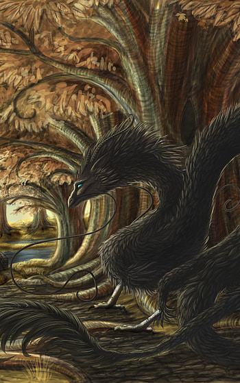 Unexpected encounter, fantasy, dragon HD phone wallpaper