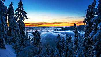 North Shore Mountains, British Columbia, sky, snow, colors, landscape, trees, canada HD wallpaper