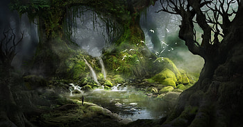 Forest, kai ee, kaiee, fantasy, bird, green, water HD wallpaper