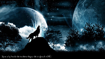 For > Black Wolf Backgrounds | Book Art | Pinterest | Wolf and Wolf HD wallpaper