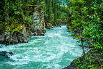 Serene river winding through lush forest gorge, showcasing nature's beauty. HD wallpaper