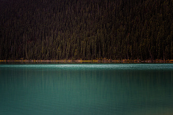 Mountains Trees, mountains, trees, nature, lake, landscape HD wallpaper