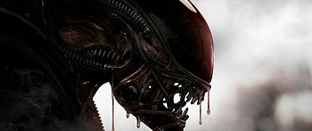 Xenomorph, Alien (Movie) HD wallpaper
