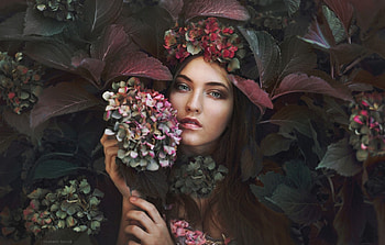 Beauty, hydrangea, flower, model, marketa novak, face, girl, woman HD wallpaper