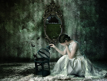 The bird is gone, darkness, gone, bird, tears, crying, girl HD wallpaper