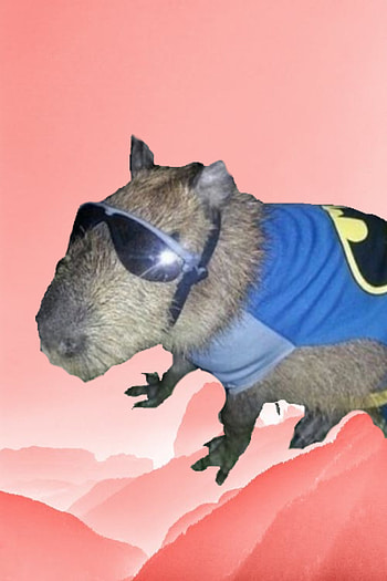 Capybra dril, capibara, capybara, ok_i_pull_up, swag, drill, capybaras HD phone wallpaper