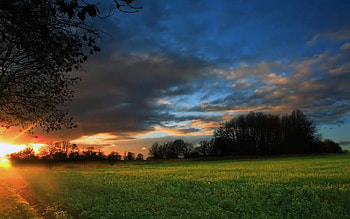 Fields, nature HD wallpaper