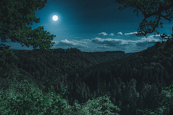 Nature, Mountains, Clouds, Moon, Forest HD wallpaper