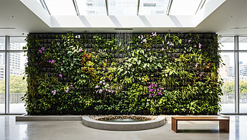 Living Wall: Indoor Green Oasis, Vertical Garden HD wallpaper