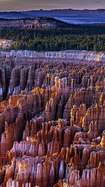 Bryce Canyon, Park scenery, Majestic cliffs, Stunning beauty HD phone wallpaper