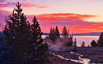 Sunrise at Yellowstone NP, california, trees, landscape, clouds, colors, sky, usa HD wallpaper