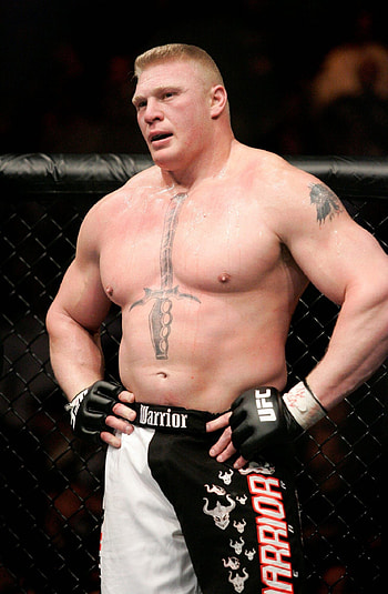 Brock Lesnar, Mixed Martial Arts HD phone wallpaper