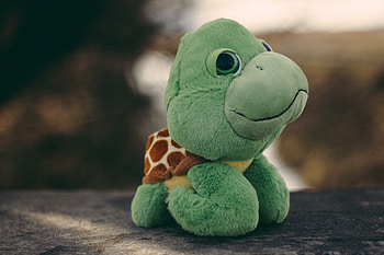 Miscellanea, Miscellaneous, Toy, Plush, Turtle HD wallpaper
