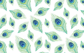 Pattern, blue, white, feather, paun, green, texture, peacock HD wallpaper