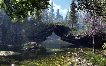Forest, animal, river, cg, water HD wallpaper