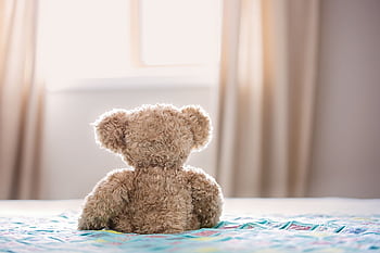 A plush teddy bear sits on a colorful bed in a cozy bedroom, facing a window. HD wallpaper