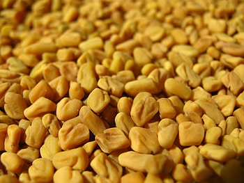 Fenugreek methi, Nutritional powerhouse, Greenstories HD wallpaper
