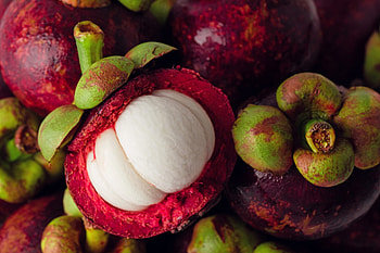 Mangosteen, Tropische Frucht, Malaysia, Entdeckermagazin HD wallpaper