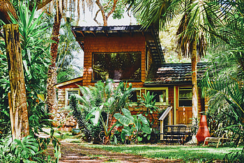 Plants, Nature, Palm, House, Sunlight HD wallpaper